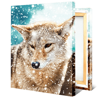 Picture Printing on Canvas - Size 20 x 20 CM