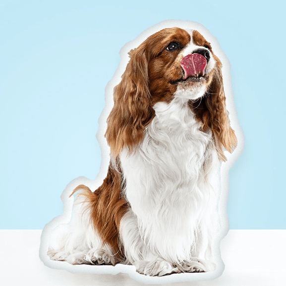 Custom Pet Shaped Pillows