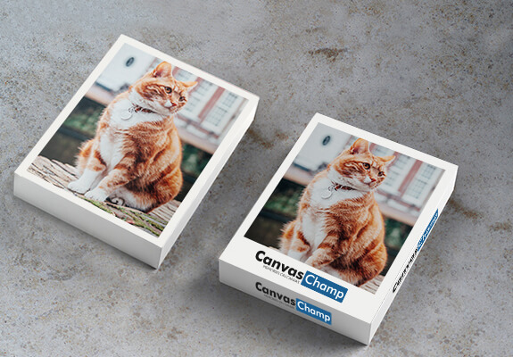 Experience the Freedom of Customisation on Playing Cards Too! Experience the Freedom of Customisation on Playing Cards Too!